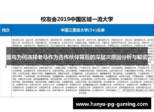 魔鸟为何选择老马作为合作伙伴背后的深层次原因分析与解读