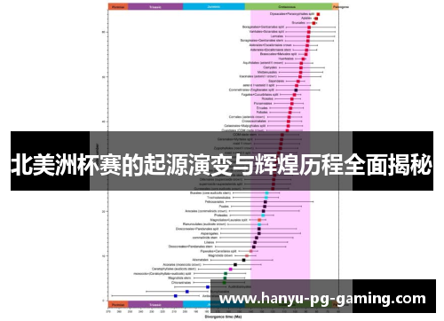 北美洲杯赛的起源演变与辉煌历程全面揭秘 北美洲杯赛的起源演变与辉煌历程全面揭秘