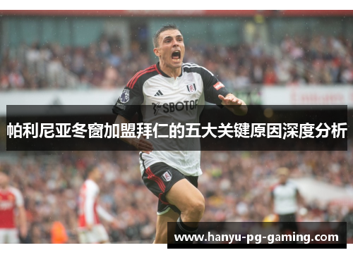 帕利尼亚冬窗加盟拜仁的五大关键原因深度分析 帕利尼亚冬窗加盟拜仁的五大关键原因深度分析