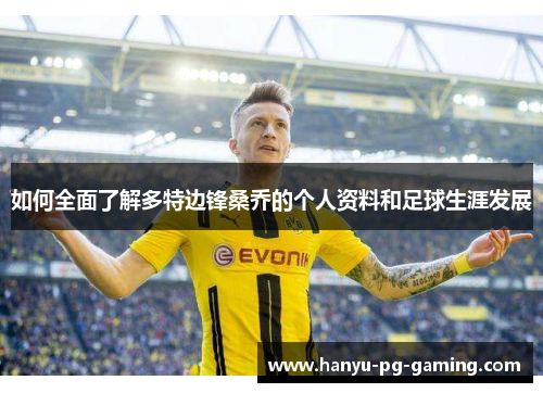 如何全面了解多特边锋桑乔的个人资料和足球生涯发展