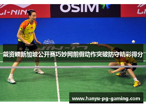 戴资颖新加坡公开赛巧妙网前假动作突破防守精彩得分