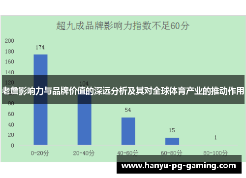 老詹影响力与品牌价值的深远分析及其对全球体育产业的推动作用
